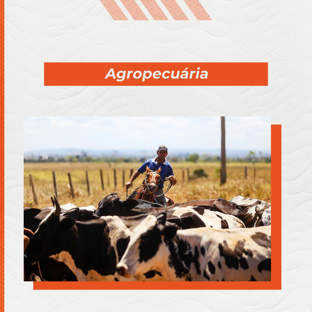 A Ferragista - Produtos para Agropecuária